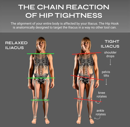 Full Body System
